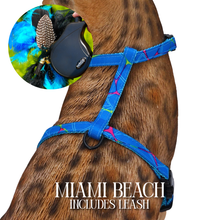 Load image into Gallery viewer, Leash and Harness Set
