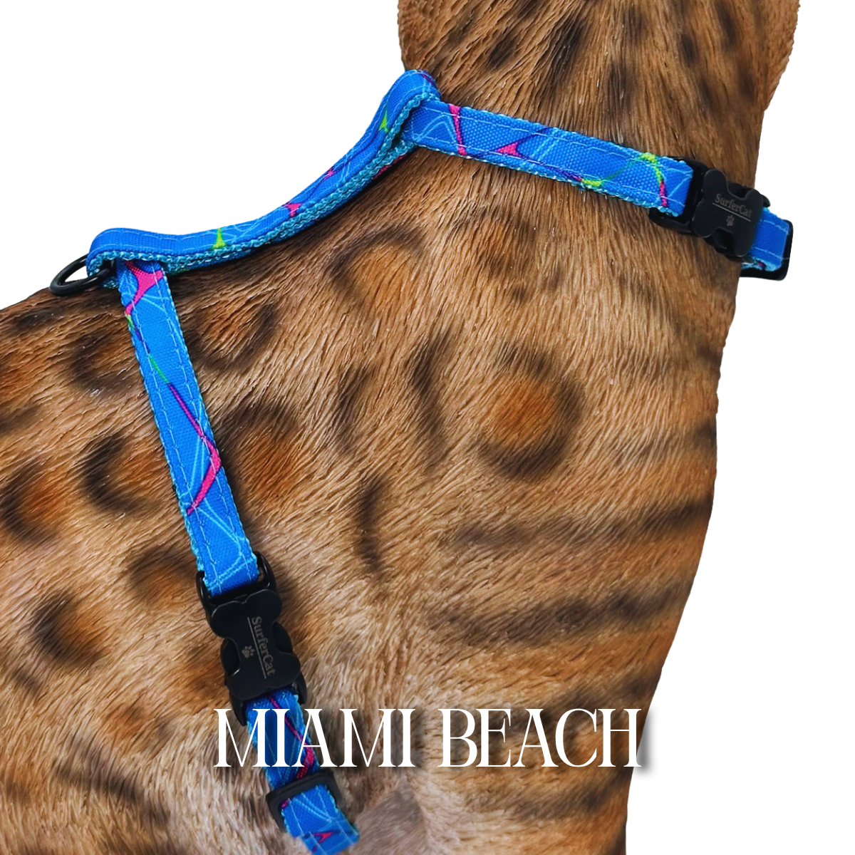 All Harnesses & Collections