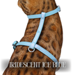 Iridescent Collection- sold separately Hands Free Leash, Escape Proof Harness & collars