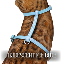 Load image into Gallery viewer, Iridescent Collection- sold separately Hands Free Leash, Escape Proof Harness &amp; collars
