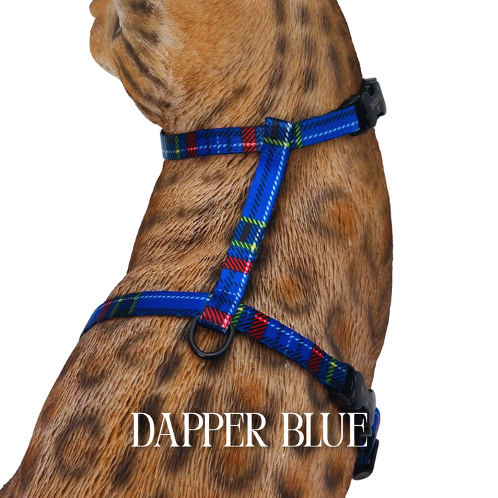 Dapper Collection - Escape Proof