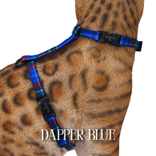 Load image into Gallery viewer, Dapper Collection - Escape Proof
