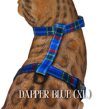Load image into Gallery viewer, Dapper Collection - Escape Proof
