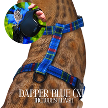 Load image into Gallery viewer, XL Harness &amp; Leash Set
