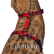 All Harnesses & Collections