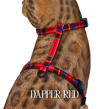 Load image into Gallery viewer, Dapper Collection - Escape Proof
