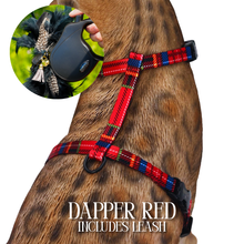 Load image into Gallery viewer, Leash and Harness Set
