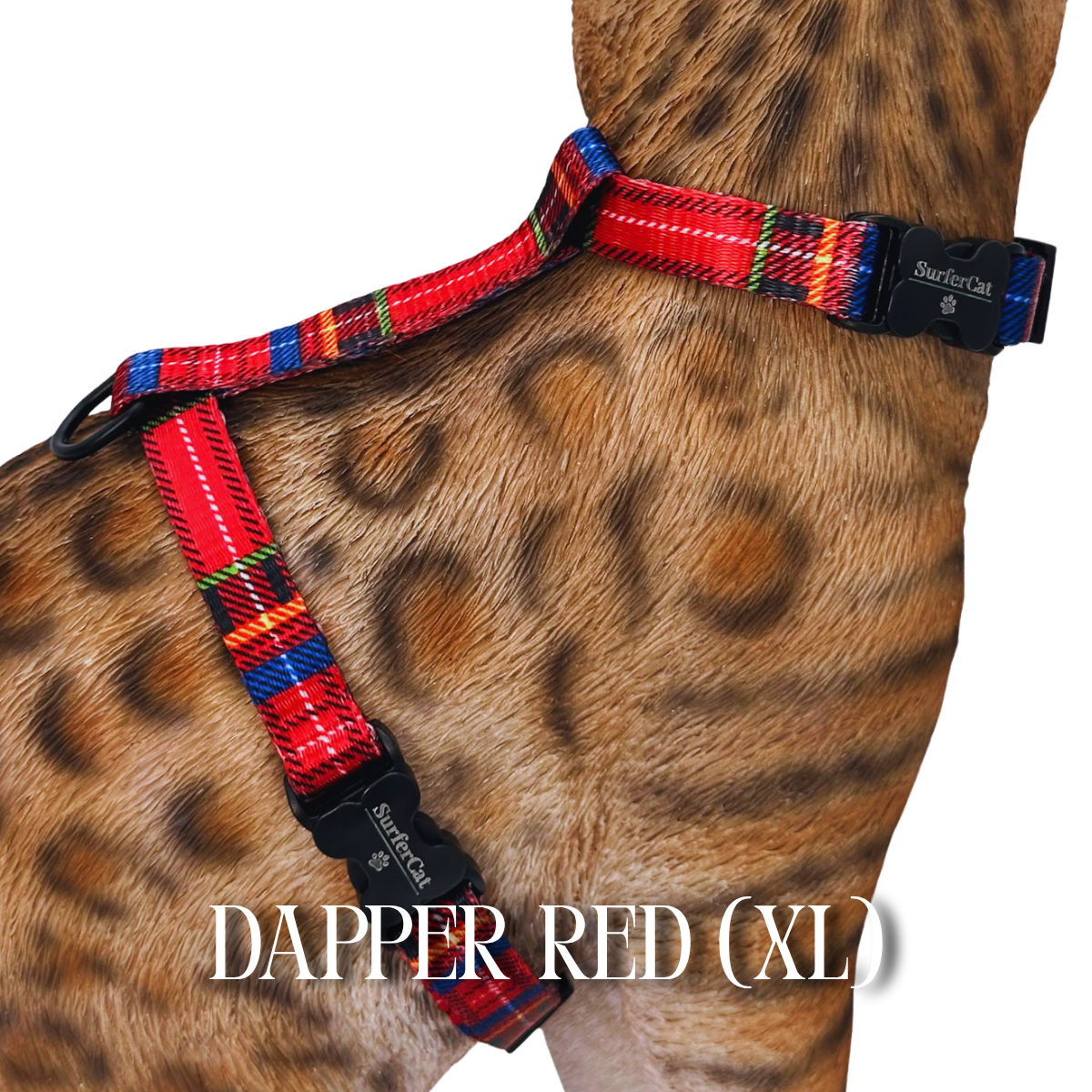 All Harnesses & Collections