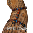 Dapper Collection - Escape Proof