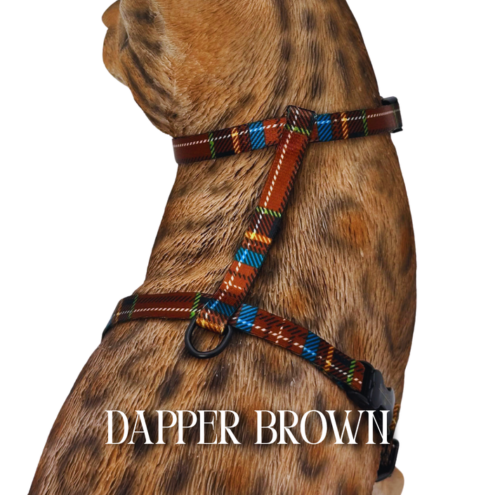 Dapper Collection - Escape Proof