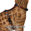 All Harnesses & Collections