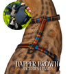 Leash and Harness Set