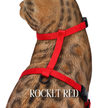 Solid Colors - Escape Proof Harness
