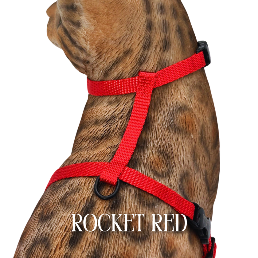 Solid Colors - Escape Proof Harness