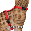 Solid Colors - Escape Proof Harness