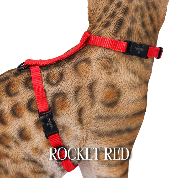Solid Colors - Escape Proof Harness