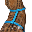 Solid Colors - Escape Proof Harness