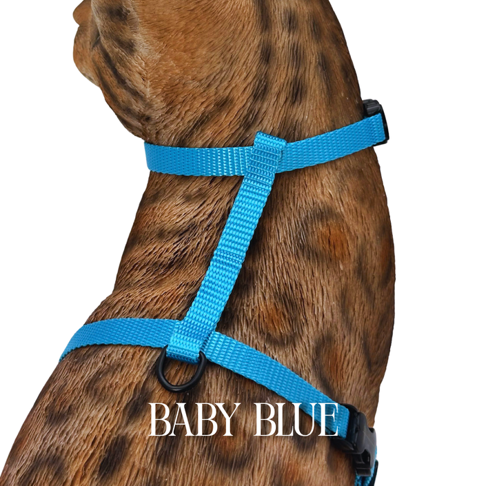 Solid Colors - Escape Proof Harness