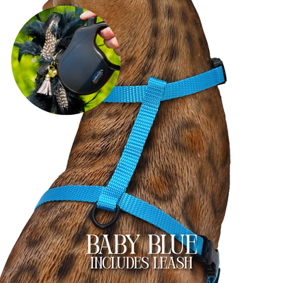 Leash and Harness Set