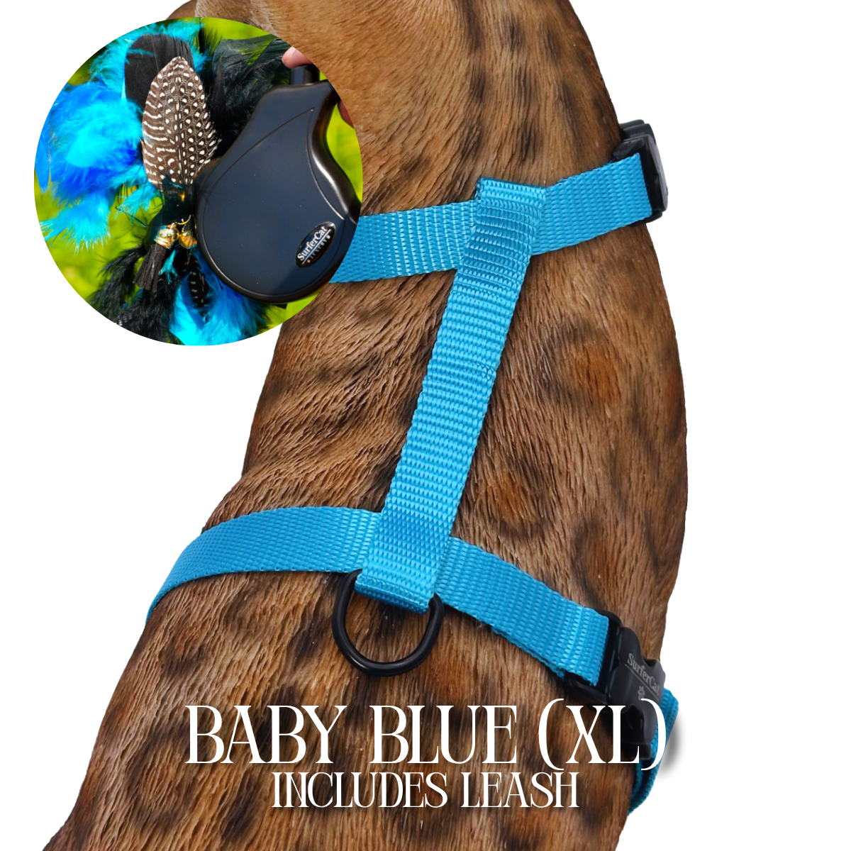 Leash and Harness Set