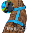 Leash and Harness Set