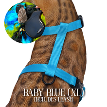 Load image into Gallery viewer, XL Harness &amp; Leash Set
