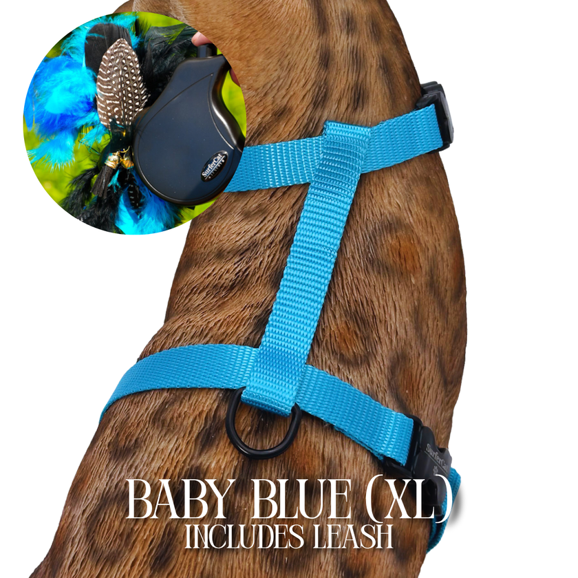 Leash and Harness Set
