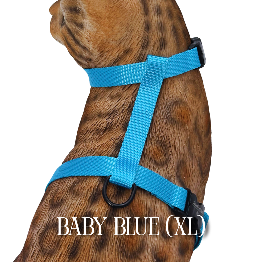 XL Harnesses