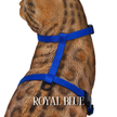 Solid Colors - Escape Proof Harness