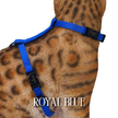 Solid Colors - Escape Proof Harness