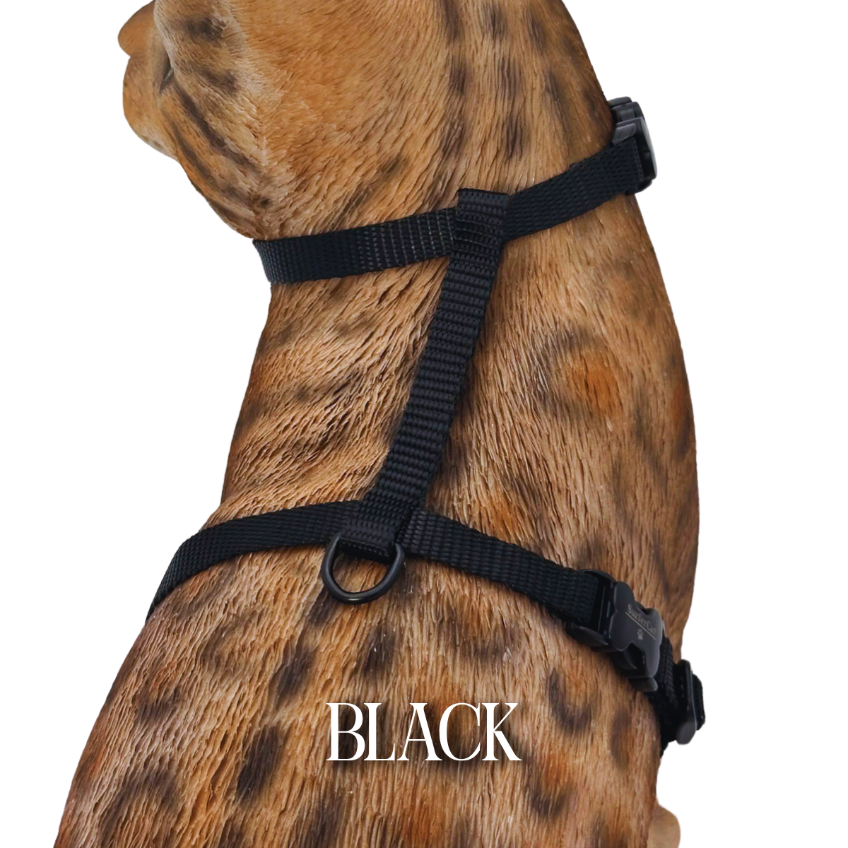 Solid Colors - Escape Proof Harness