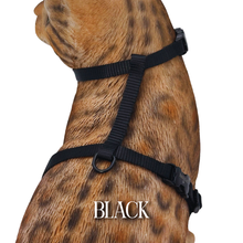 Load image into Gallery viewer, Solid Colors - Escape Proof Harness
