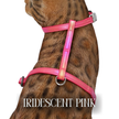 Iridescent Collection- sold separately Hands Free Leash, Escape Proof Harness & collars