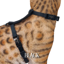 Load image into Gallery viewer, Solid Colors - Escape Proof Harness

