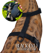Load image into Gallery viewer, XL Harness &amp; Leash Set
