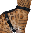 XL Harnesses