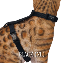 Load image into Gallery viewer, Solid Colors - Escape Proof Harness
