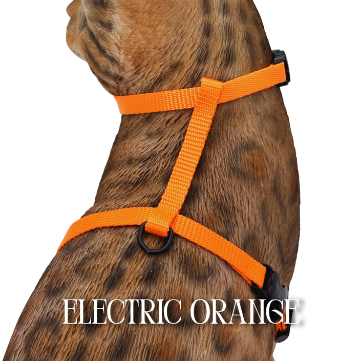Solid Colors - Escape Proof Harness