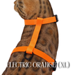 Solid Colors - Escape Proof Harness