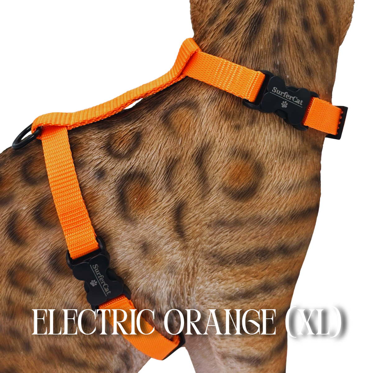 Solid Colors - Escape Proof Harness
