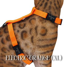 Load image into Gallery viewer, Solid Colors - Escape Proof Harness

