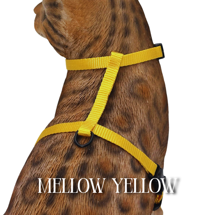 Solid Colors - Escape Proof Harness