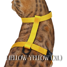 Load image into Gallery viewer, Solid Colors - Escape Proof Harness
