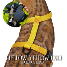 Load image into Gallery viewer, XL Harness &amp; Leash Set
