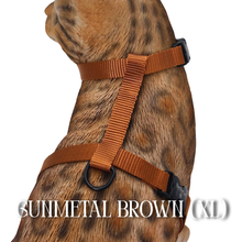 Load image into Gallery viewer, Solid Colors - Escape Proof Harness
