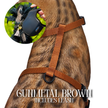 Leash and Harness Set