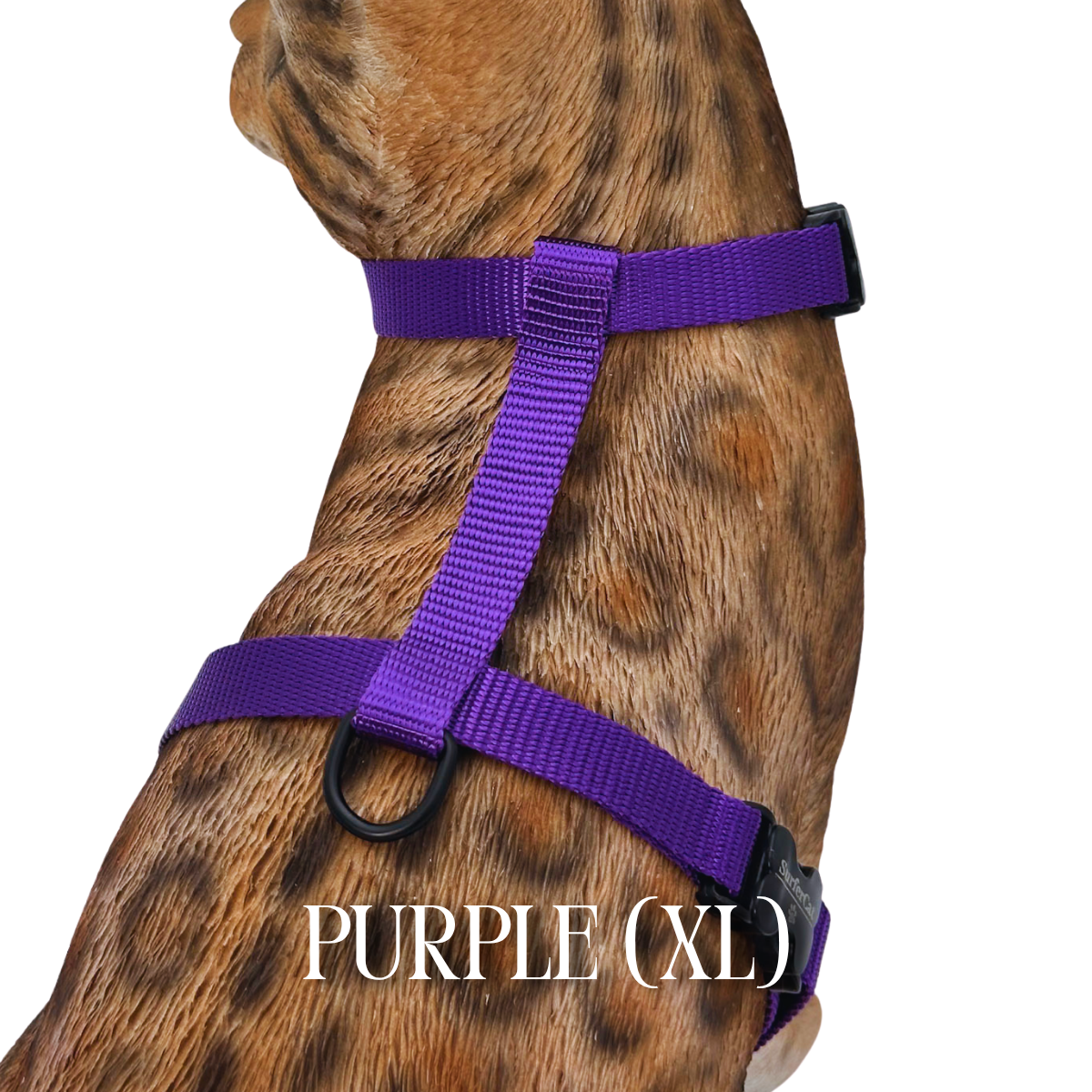 XL Harnesses