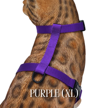 Load image into Gallery viewer, Solid Colors - Escape Proof Harness
