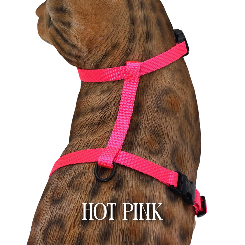 Solid Colors - Escape Proof Harness