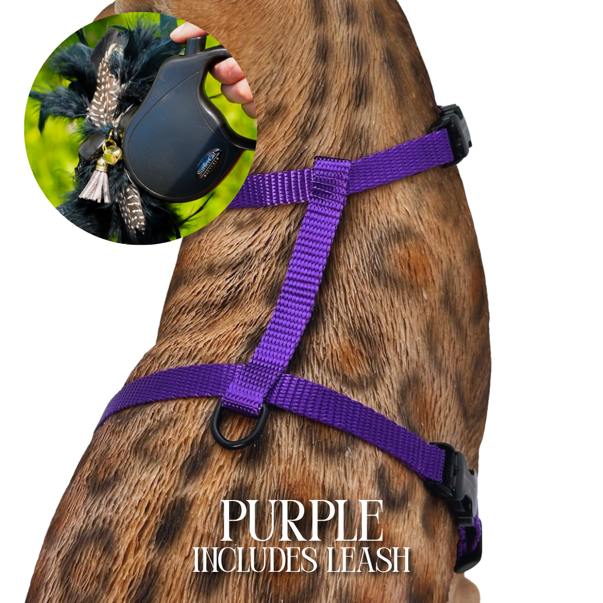 Leash and Harness Set